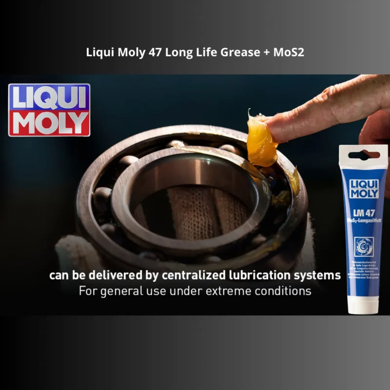 Liqui Moly 47 Long Life Grease + MoS2 - 100g - Rolamentos - Imagem 3